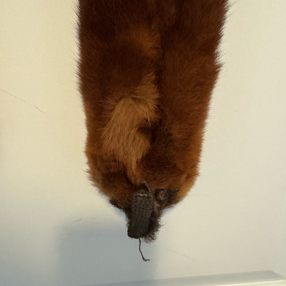 Vintage Red Fox Stole - Picture 10 of 10